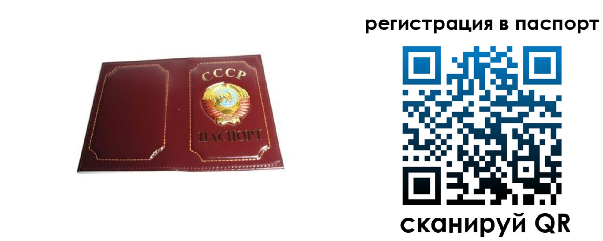 прописка 2025 в Исилькуле